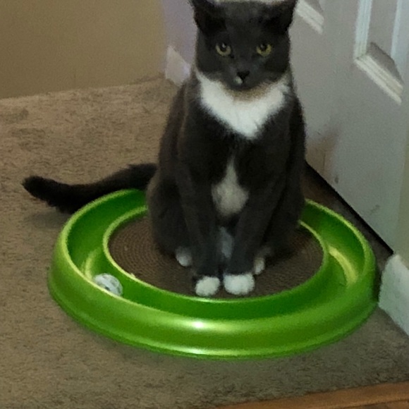 Meet the Posher - Picture 3 of 6